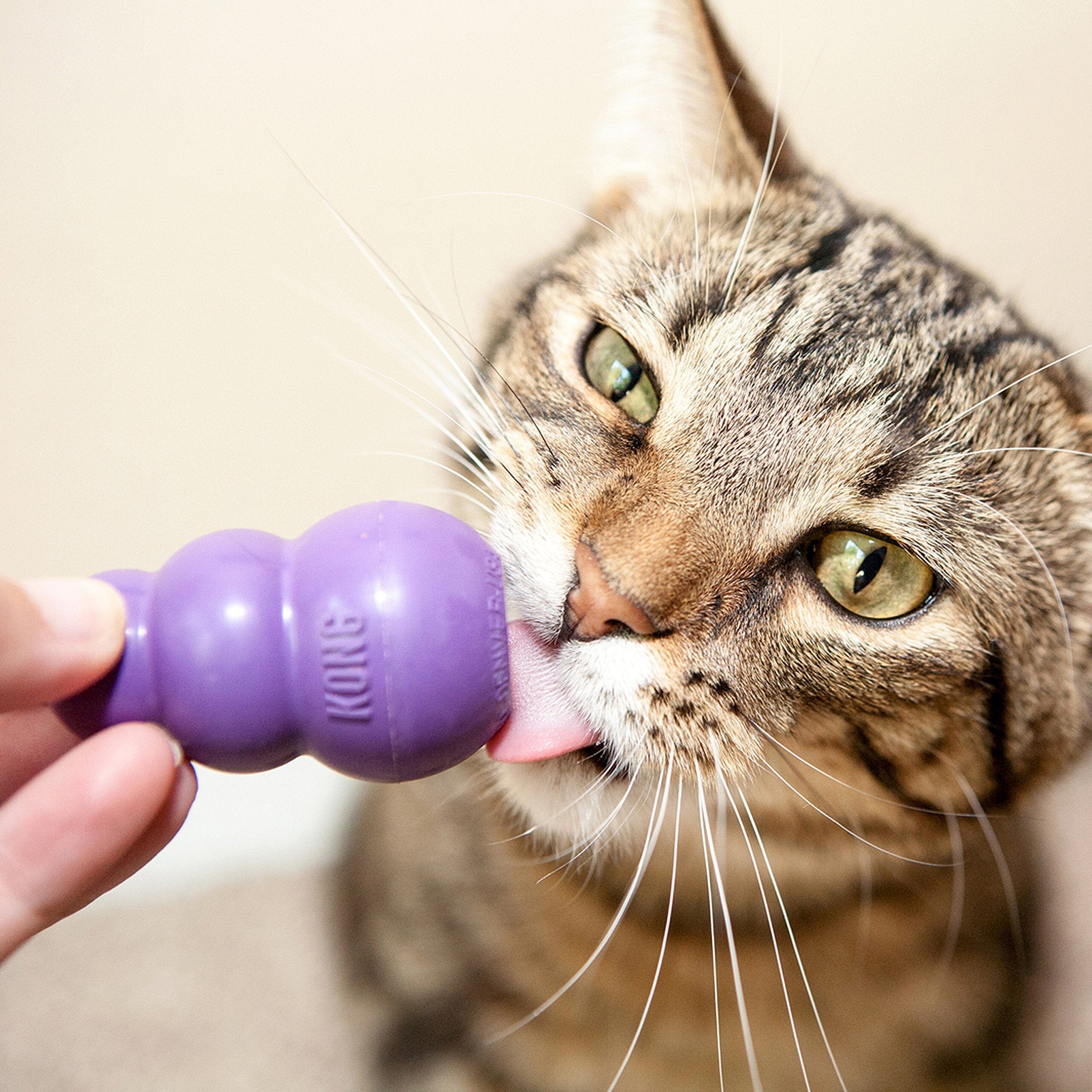 Kong Classic Kitty Treat Dispensing Rubber Cat Toy - Purple  