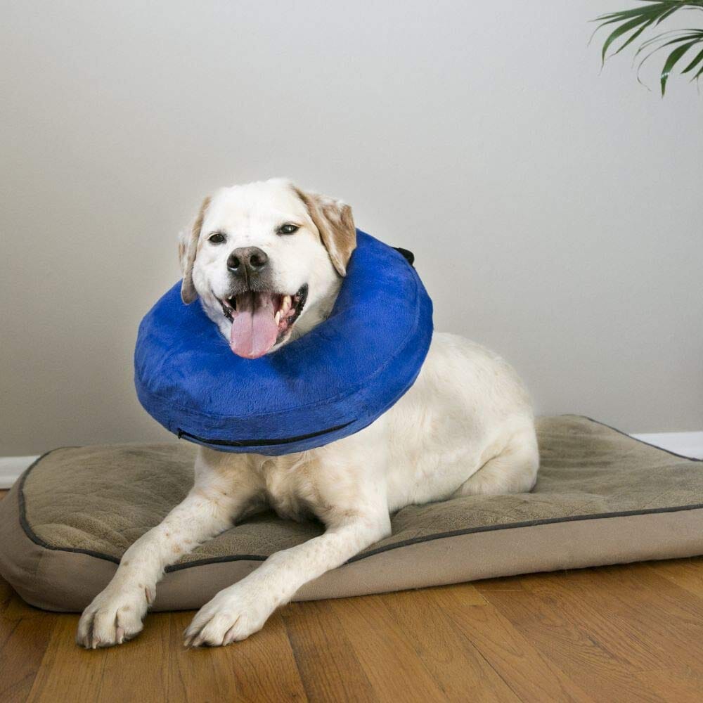 Kong Cloud Collar Plush Inflatable Pet E-Collar for Rashes and Post-Surgery Injuries  