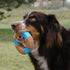 Kong CoreStrength Bamboo Infused Bone Dog Toy - Small  