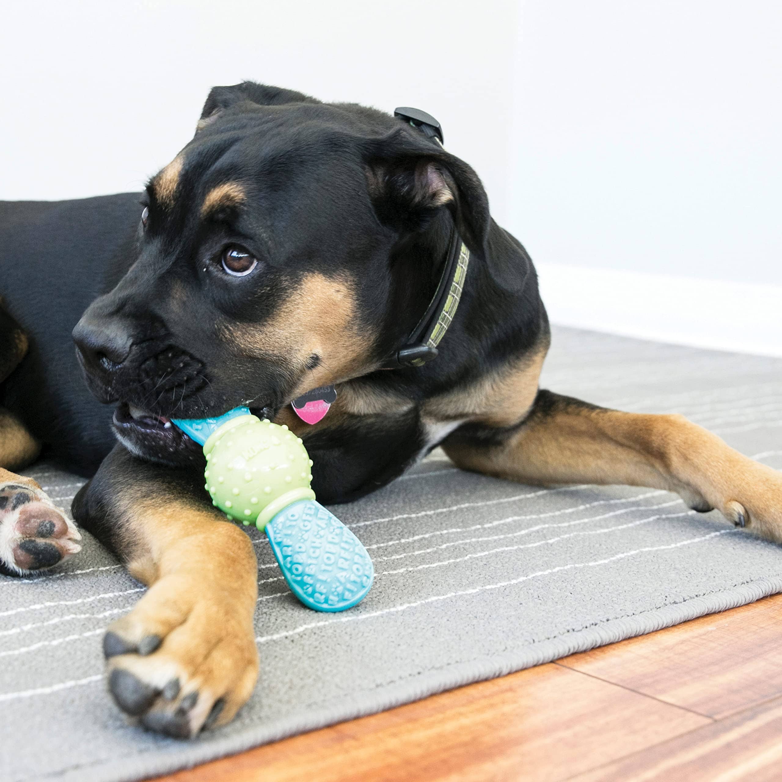 Kong CoreStrength Bow-Tie Durable and Long-Lasting Fetch and Dental Dog Toy  