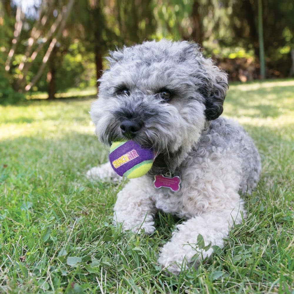 Kong CrunchAir Crunchy-Sound Making Fetch Tennis Ball Dog Toy - Medium