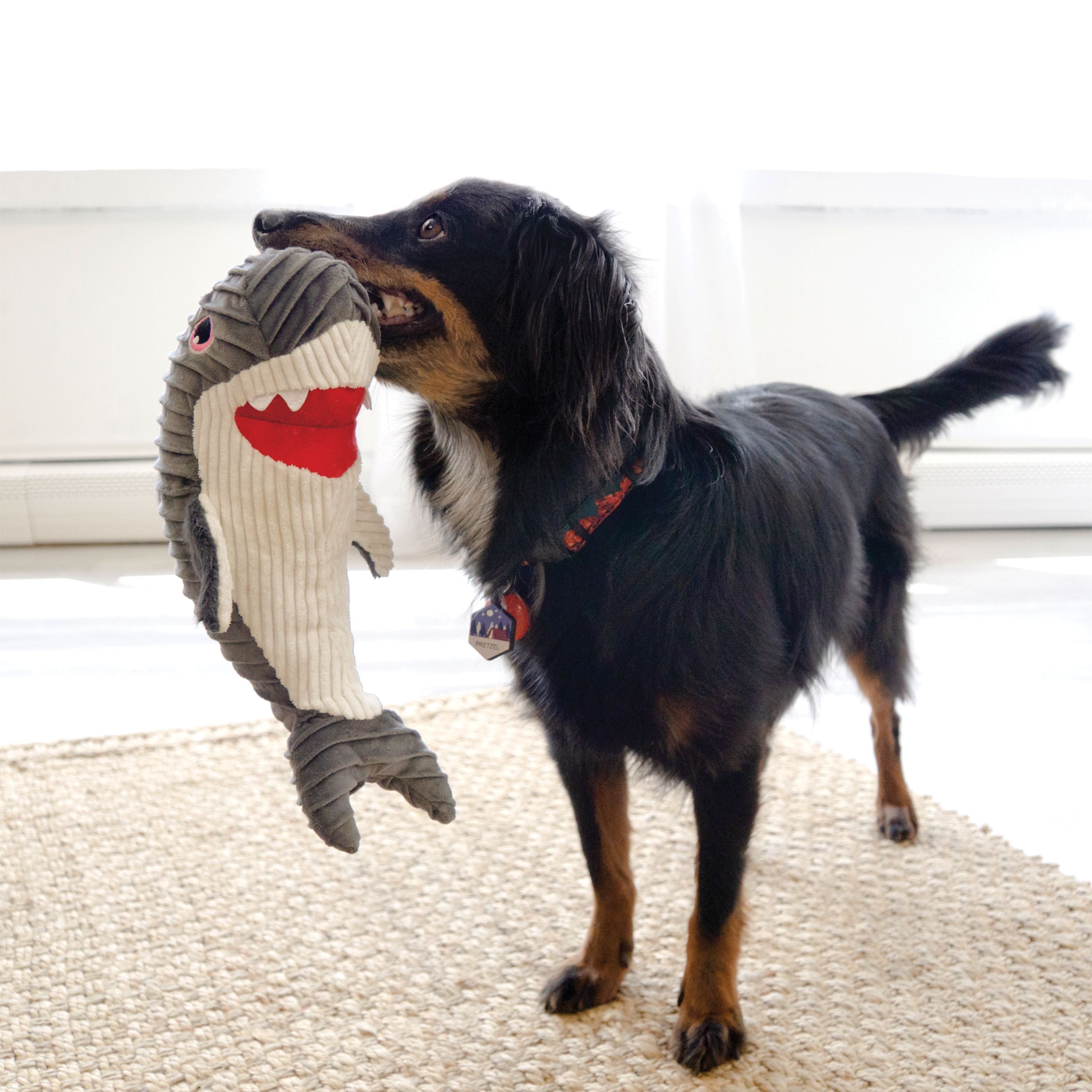 Kong Cuteseas Rufflez Shark Squeak and Plush Dog Toy - Medium