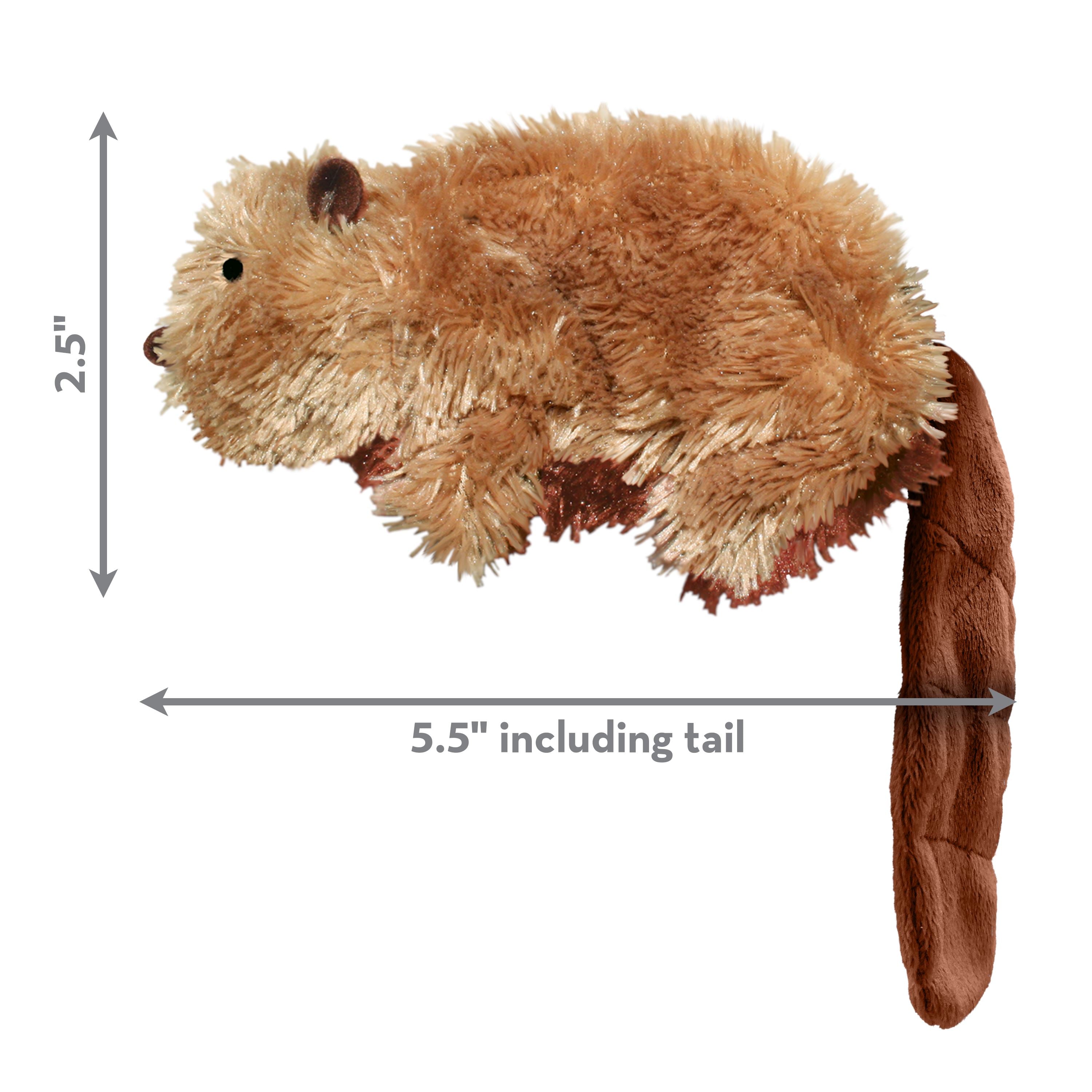 Kong Dr. Noyz Beaver Plush Dog Toy - Small  