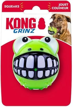Kong Grinz Frog Bounce and Squeak and Fetch Rubber Dog Toy Medium