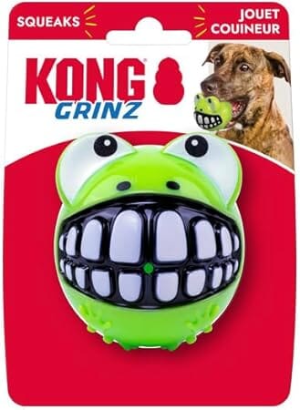 Kong Grinz Frog Bounce and Squeak and Fetch Rubber Dog Toy Large