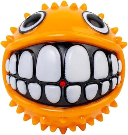 Kong Grinz Puffer Fish Bouncy Ball Squeak and Fetch Rubber Dog Toy