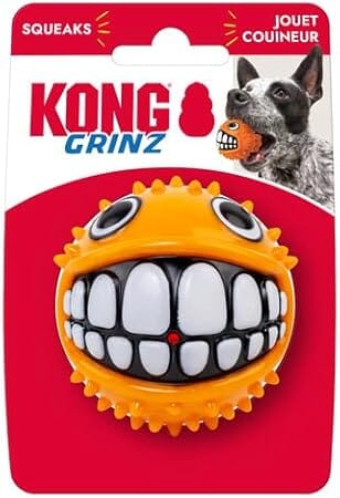 Kong Grinz Puffer Fish Bouncy Ball Squeak and Fetch Rubber Dog Toy Medium