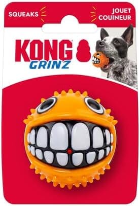 Kong Grinz Puffer Fish Bouncy Ball Squeak and Fetch Rubber Dog Toy Small