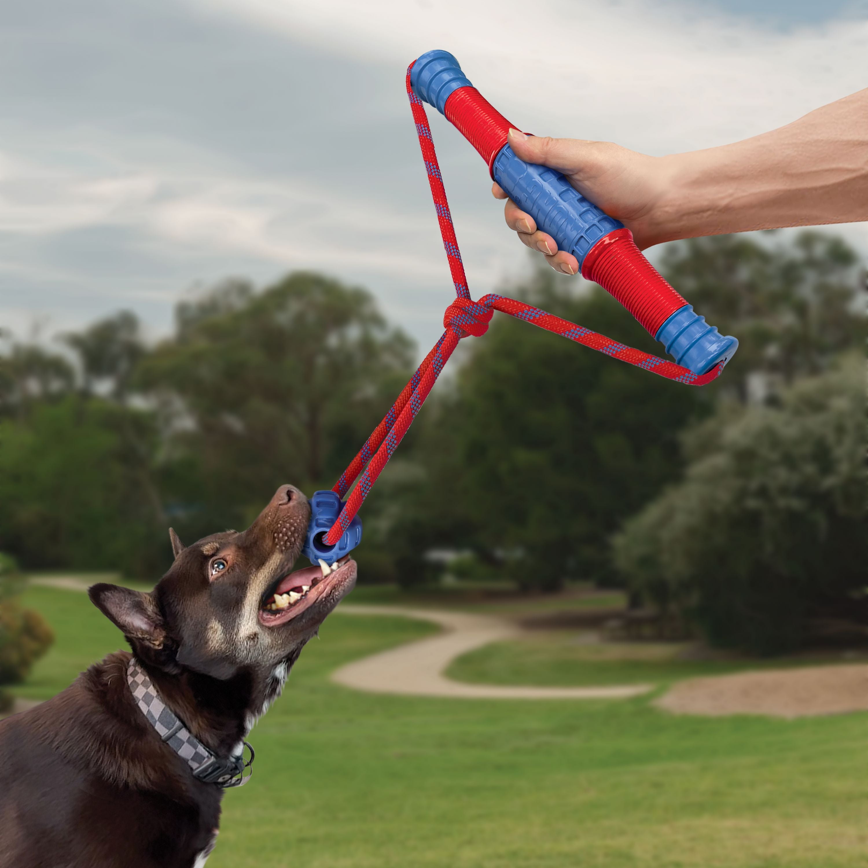 Kong Jaxx Mega Tug Handle and Rope with Ball Durable Dog Toy - Blue