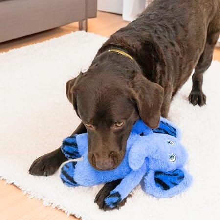 Kong Jungle Jamz Elephant Crinkle Rattle and Squeaking Plush Dog Toy - Medium/Large