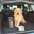 Kong Kibble Travel Pet Food Storage Bag with Clear Food Level Window  