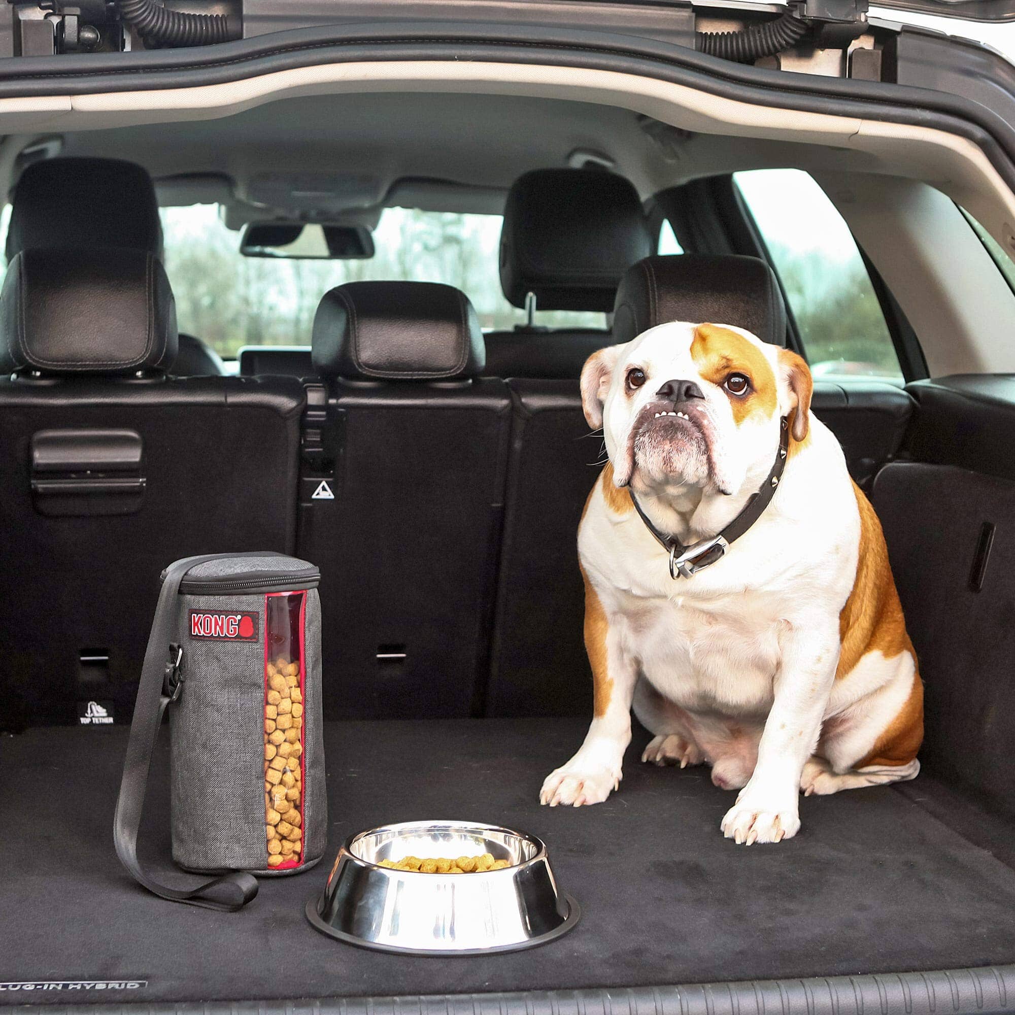 Kong Kibble Travel Pet Food Storage Bag with Clear Food Level Window  