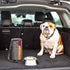 Kong Kibble Travel Pet Food Storage Bag with Clear Food Level Window  
