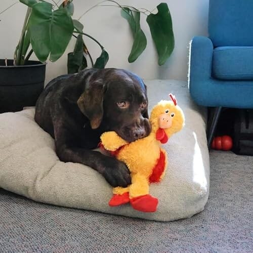 Kong Knots Chicken Internally Knotted Low-Stuffing Squeak and Plush Dog Toy - Yellow