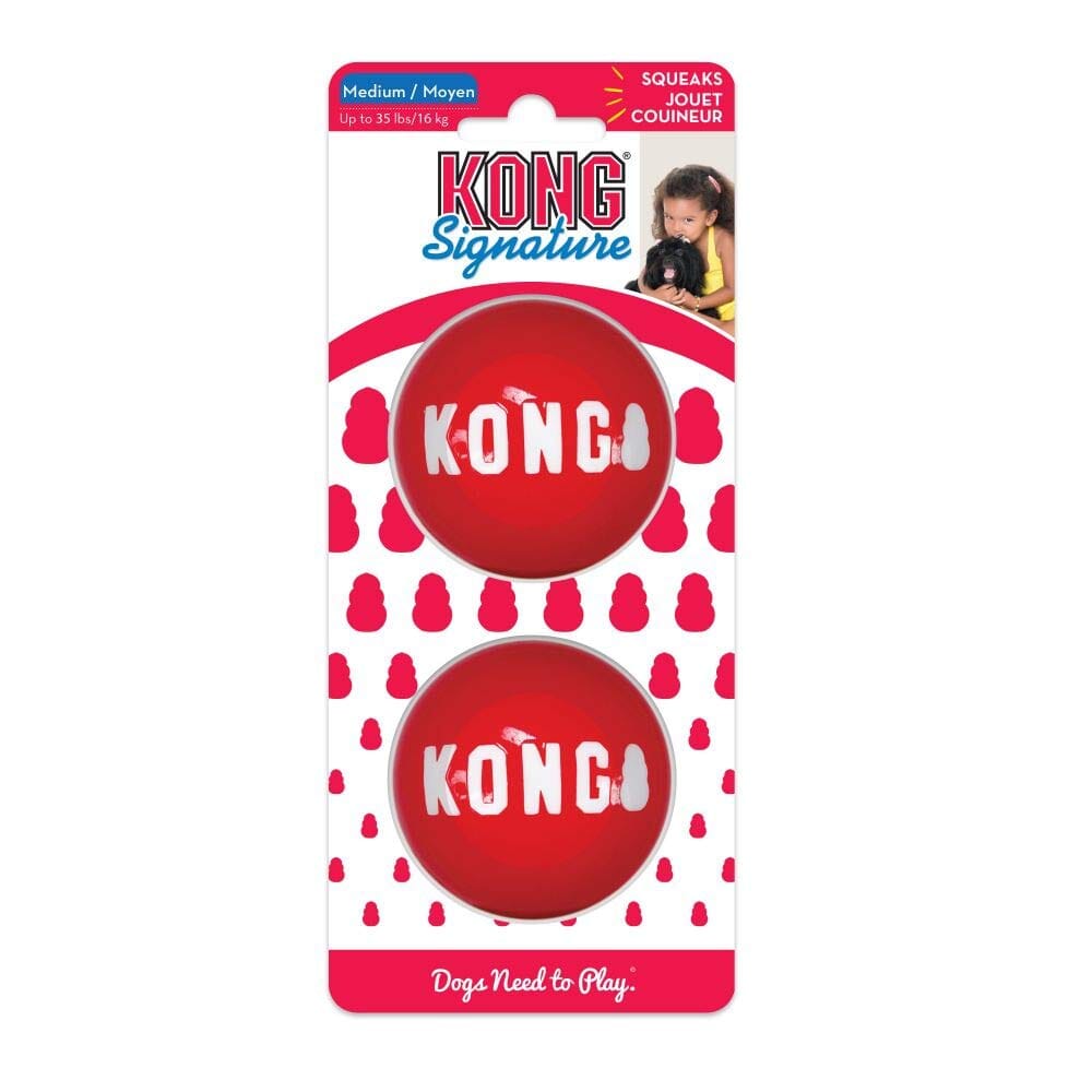 Kong Signature Balls Bounce and Fetch Dog Toy - 2 Count  