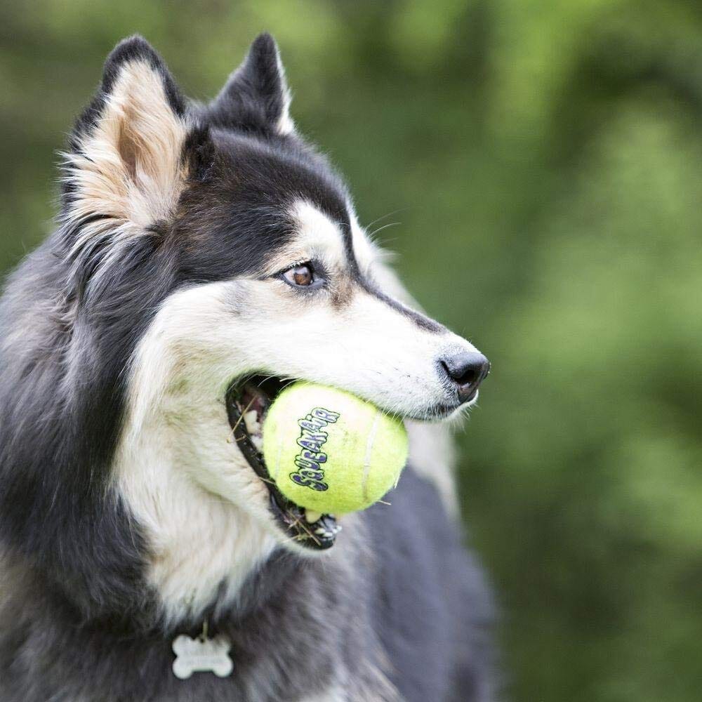 Kong SqueakAir Tennis Ball Squeaker Felt Dog Toy - Single  