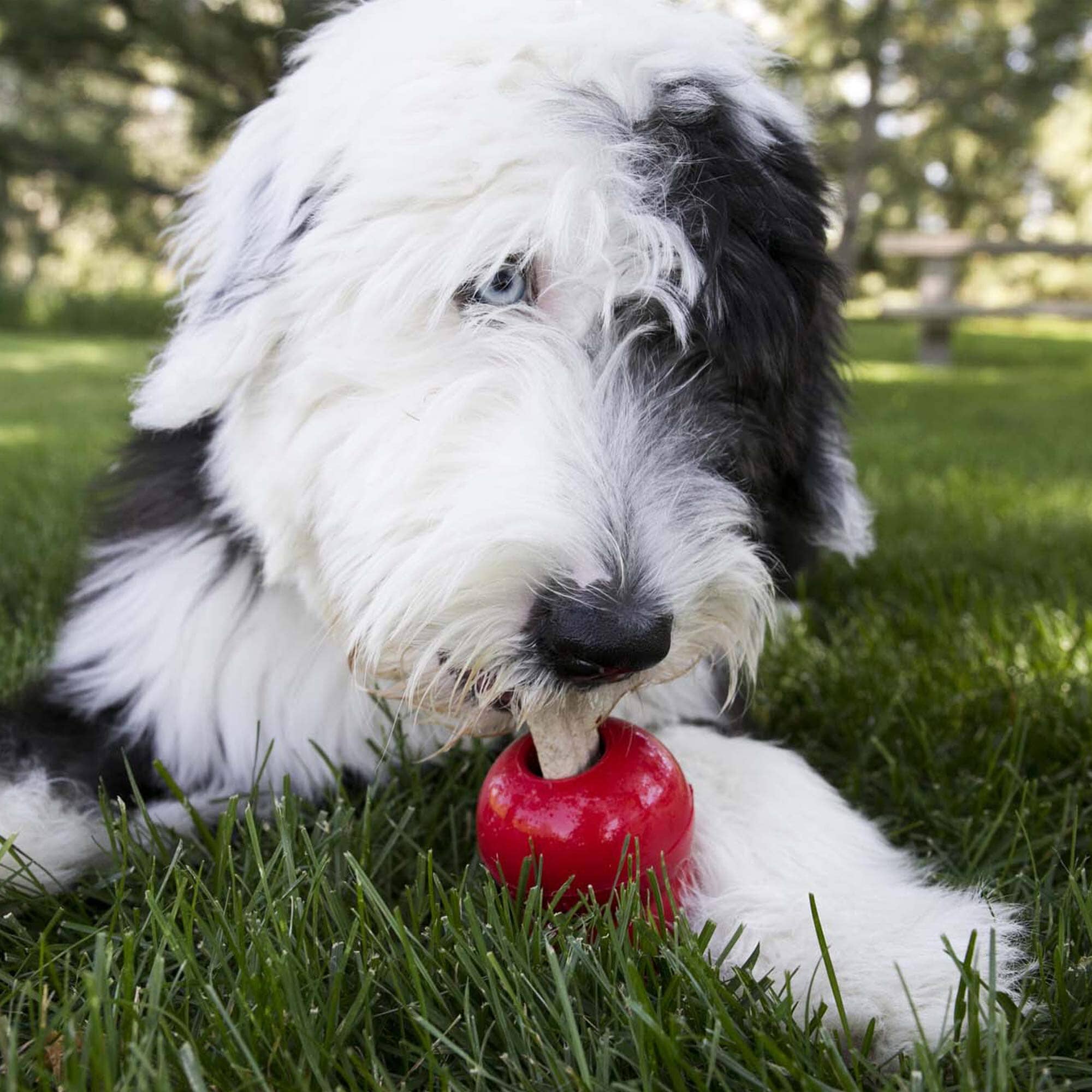 Kong Stuff N' Ziggies Adult Dog Treats compatible with Kong Dog Toys  