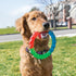 Kong Twistz Ring Multi-Color and Textured Rubber and Floating Fetch Dog Toy - Large  