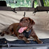 Kurgo Dog Cargo Cape Trunk Liner for Cars SUV's and Trucks with Storage Pockets