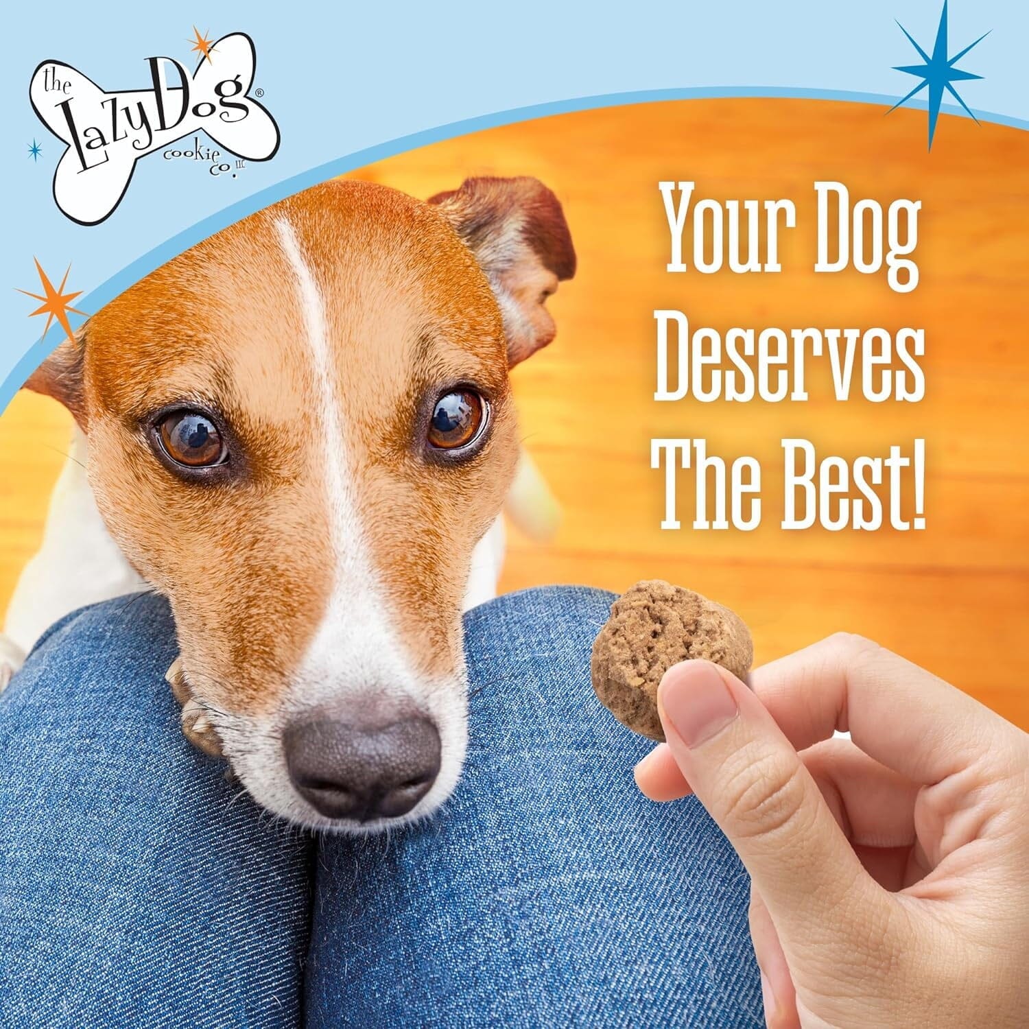 Lazy Dog Mutt Mallows My Little Pumpkins Baked Soft and Chewy Dog Treats - 5 Oz