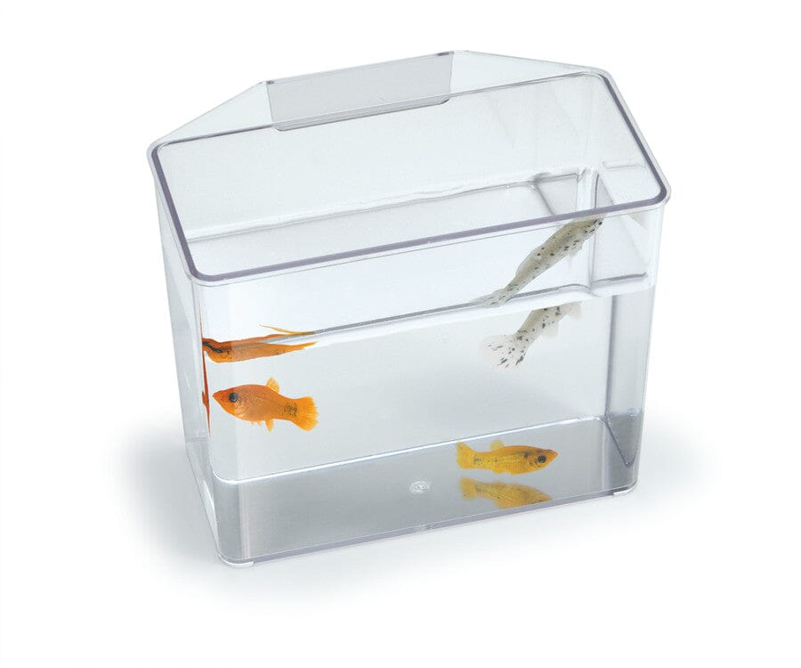 Lee's Break Resistant Specimen Container - Large