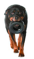 Mammoth Pet Products TireBiter II Tire Chew Rubber Dog Toy