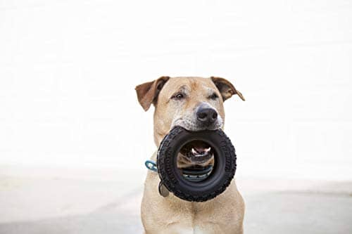 Mammoth Pet Products TireBiter II Tire Chew Rubber Dog Toy