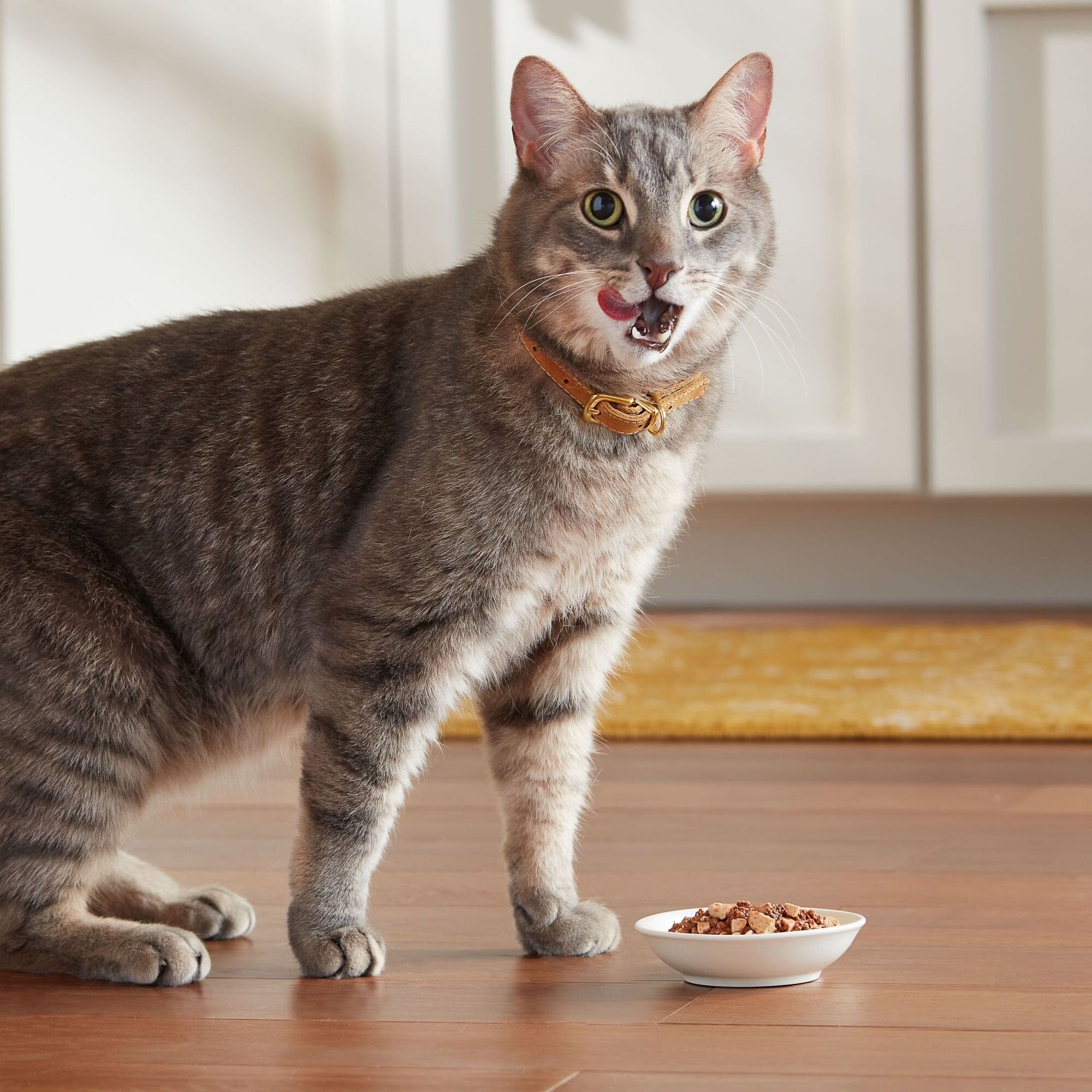 Meow-Mix Tender Favorites Chicken and Liver in Sauce Wet Cat Food Trays - 2.75 Oz - 12 Pack