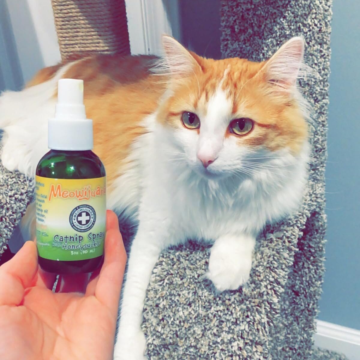 Meowijuana Honeysuckle Premium Catnip Cat Spray - 3 Oz  