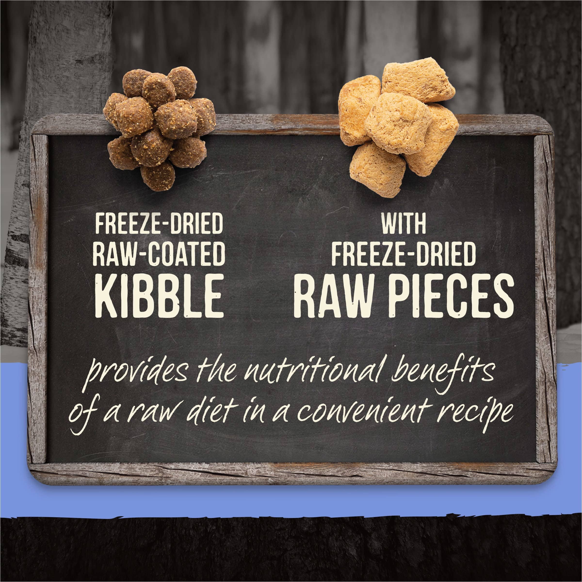 Merrick Backcountry Puppy Grain-Free Raw-Infused Chicken and Salmon Freeze-Dried Dog Food  