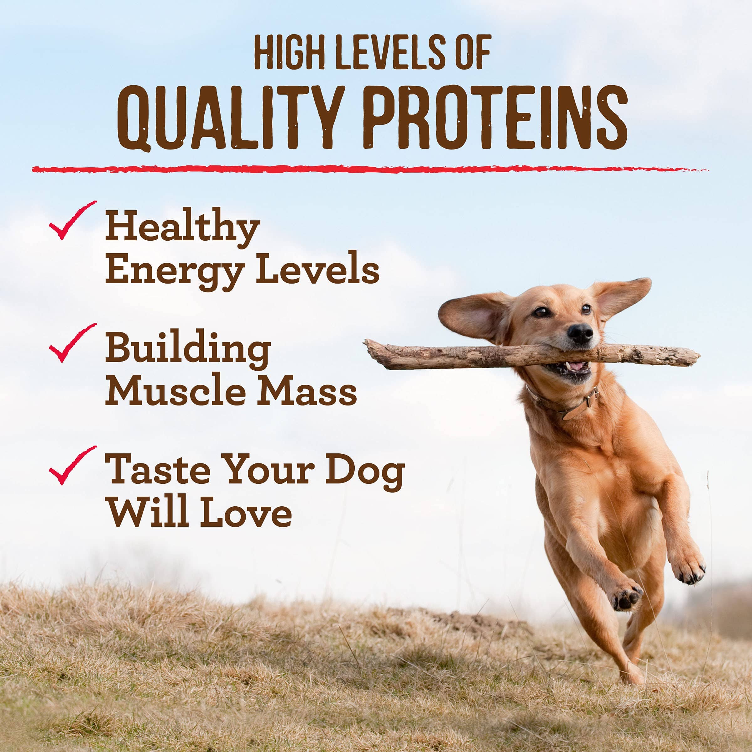 Merrick Grain-Free Puppy Chicken and Sweet Potato Dry Dog Food  