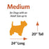 Midwest Canine Camper Pop-Up Tent Soft Folding Dog Crate - Gray - 30" X 20" X 19.5" In  