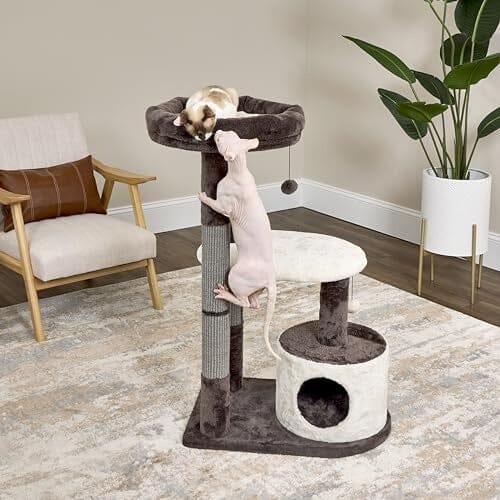 Midwest Homes Feline Alden 3-Level Cat Tree Furniture - Mocha/Cream - Medium - L:20.9 X W:30.9 X H:40.6 Inch