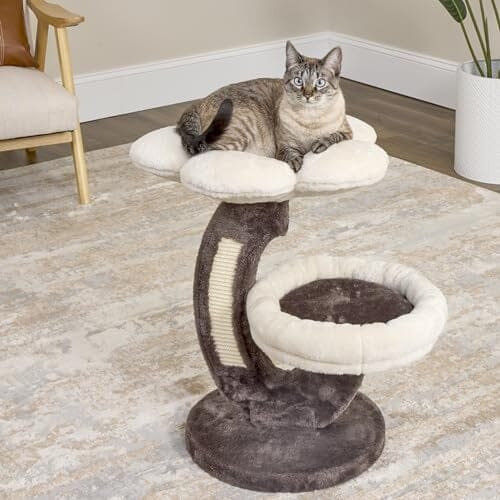 Midwest Homes Feline Nuvo 2-Level Lily Flower Cat Tree Furniture  - Mocha/Cream - L:19 X W:24 X H:25.5 Inch