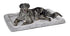 Midwest Homes Quite Time Deluxe Wave Rectangular Dog Bed and Crate Mat
