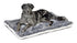 Midwest Homes Reversible Fleece Paw Print Machine Washable Pet Bed Mat - Blue/White L:54 X W:34 X H:3.8 In