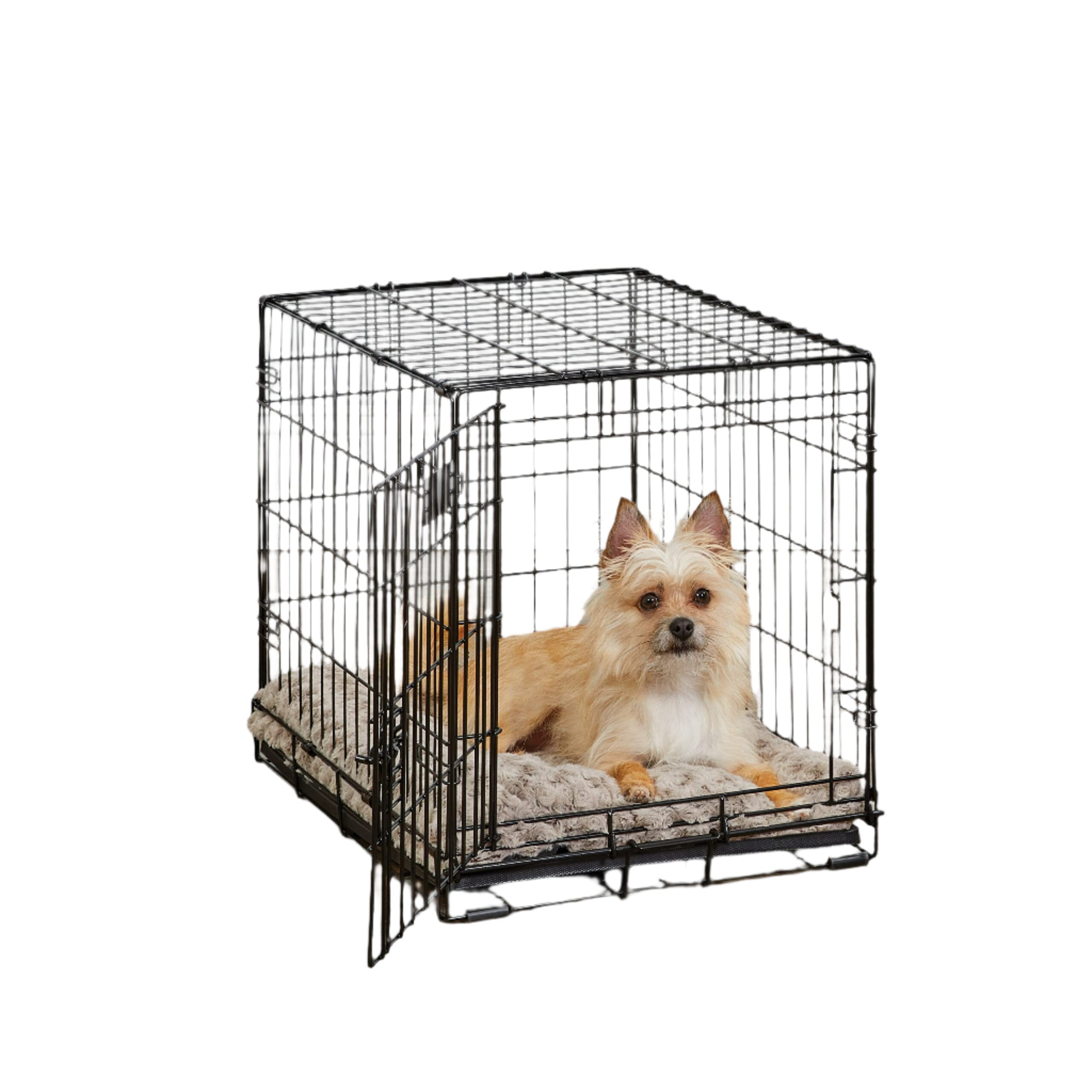 Midwest I-Crate Single Door Metal Folding Dog Crate with Divider Panel - 24
