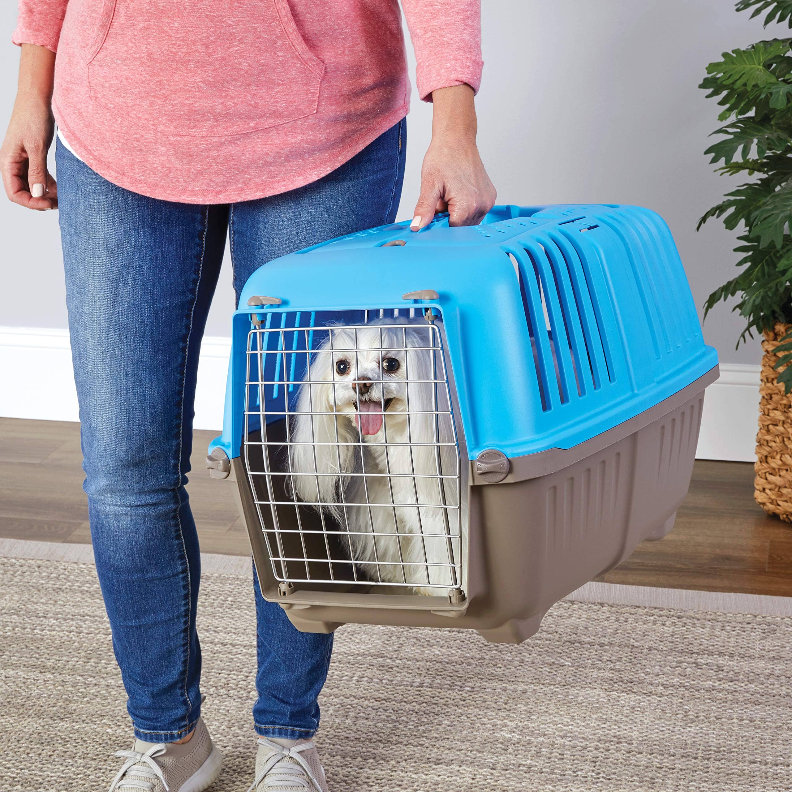 Midwest Spree Hard-Sided Travel Cat and Dog Kennel Carrier - Blue - 24