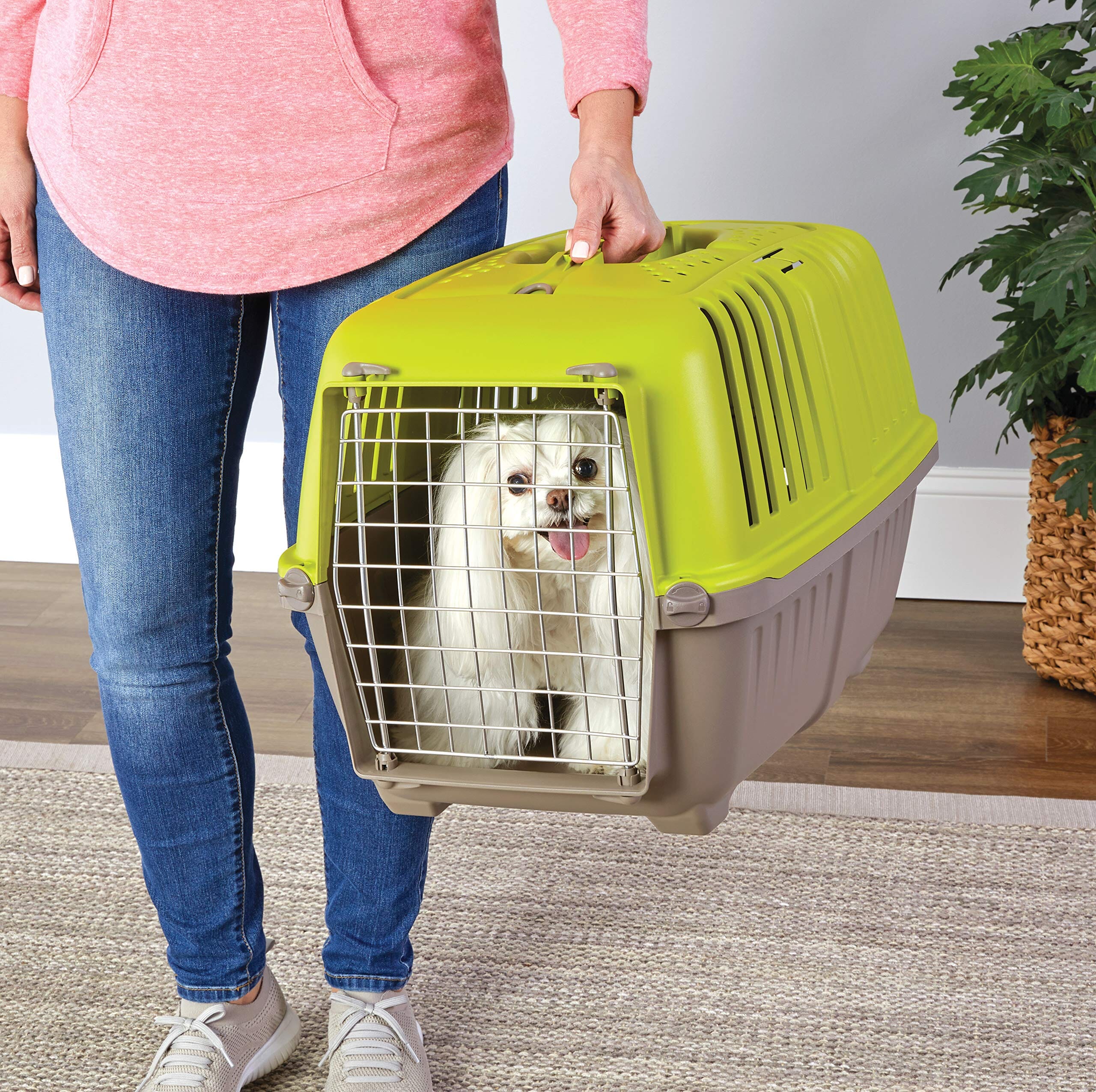 Midwest Spree Hard-Sided Travel Cat and Dog Kennel Carrier - Green - 24