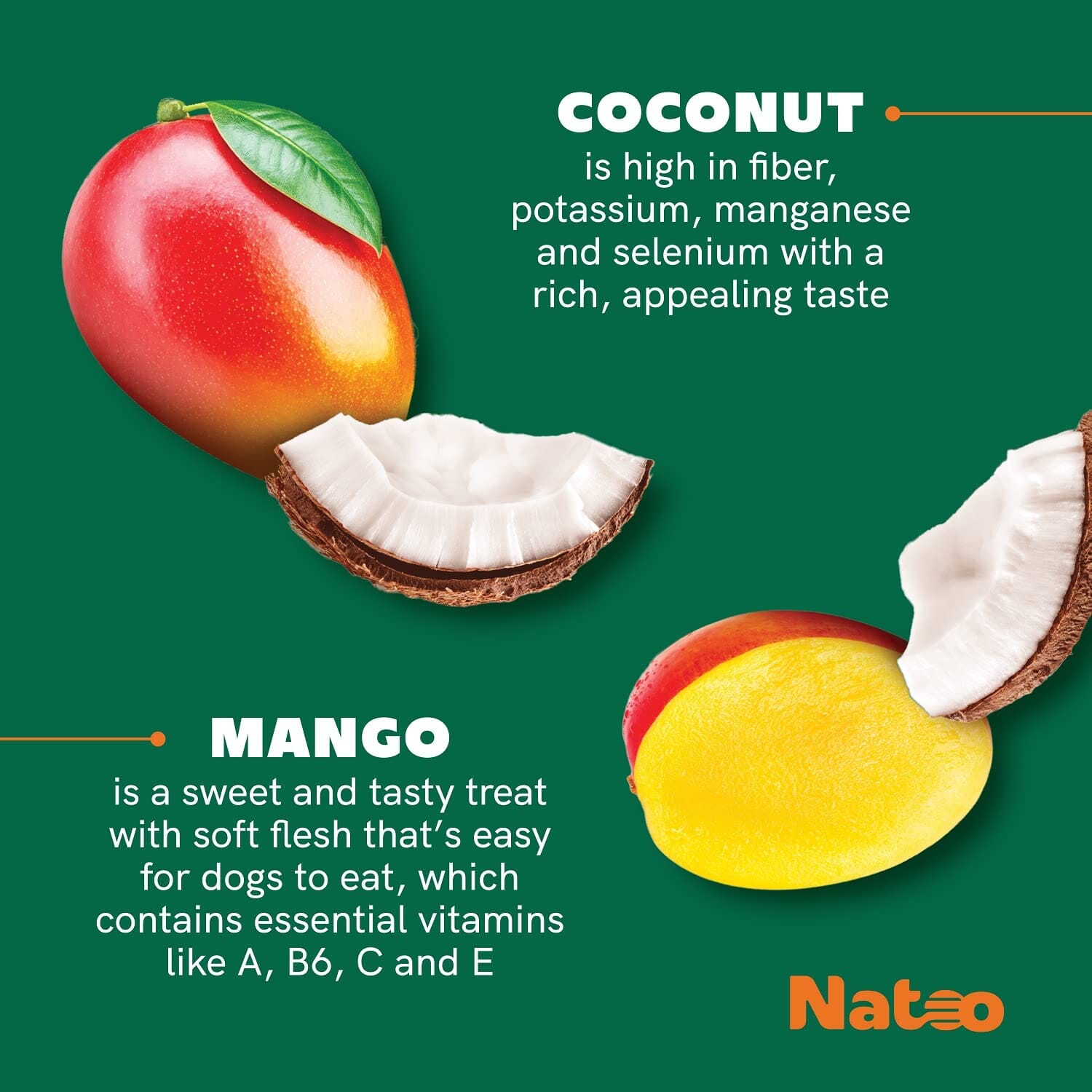 Natoo Coconut and Mango Big Bites Biscuits and Crunchy Dog Treats - 8 Oz  