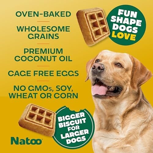 Natoo Crunchy Biscuits Oats Banana and Honey - Big Bites - 8 Oz