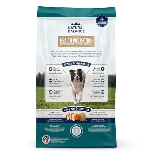 Natural Balance Health Protection Chicken Brown Rice Pumpkin Adult Dry Dog Food - 4 Lbs