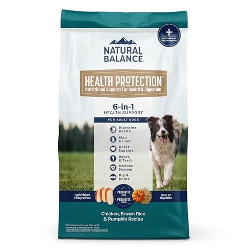 Natural Balance Health Protection Chicken Brown Rice Pumpkin Adult Dry Dog Food - 4 Lbs Default Title