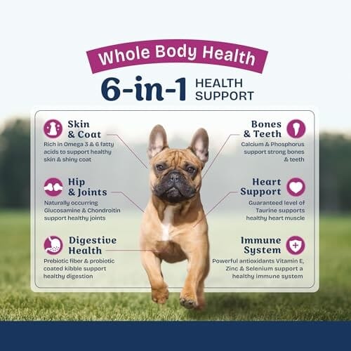 Natural Balance Health Protection Chicken Brown Rice Pumpkin Small-Breed Adult Dry Dog Food - 12 Lbs