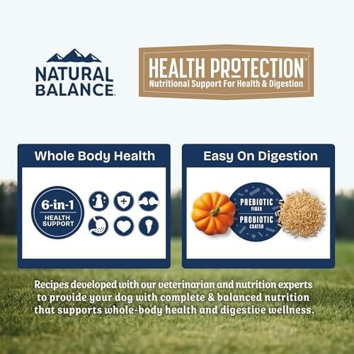 Natural Balance Health Protection Chicken Brown Rice Pumpkin Small-Breed Adult Dry Dog Food - 4 Lbs