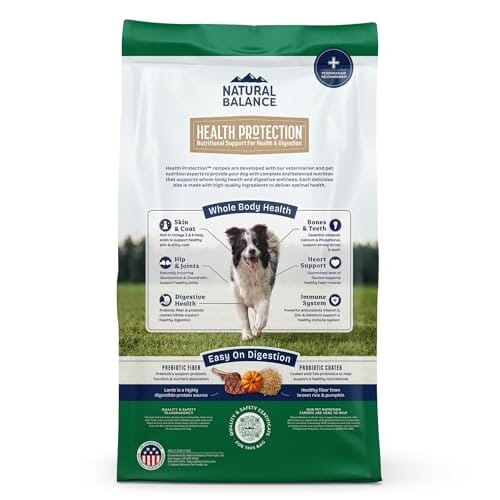 Natural Balance Health Protection Lamb Brown Rice Pumpkin Adult Dry Dog Food - 4 Lbs