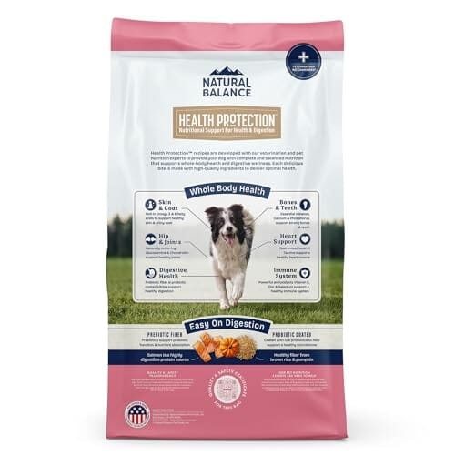 Natural Balance Health Protection Salmon Brown Rice Pumpkin Adult Dry Dog Food - 4 Lbs