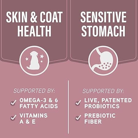 Natural Balance Specialized Nutrition Sensitive Skin and Stomach Salmon and Oatmeal Dry Dog Food - 22 Lbs