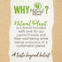 Natural Planet Veggie Puffs Plant-Based Sustainable Soft Chewy and Crunchy Dog Treats - 4 Oz