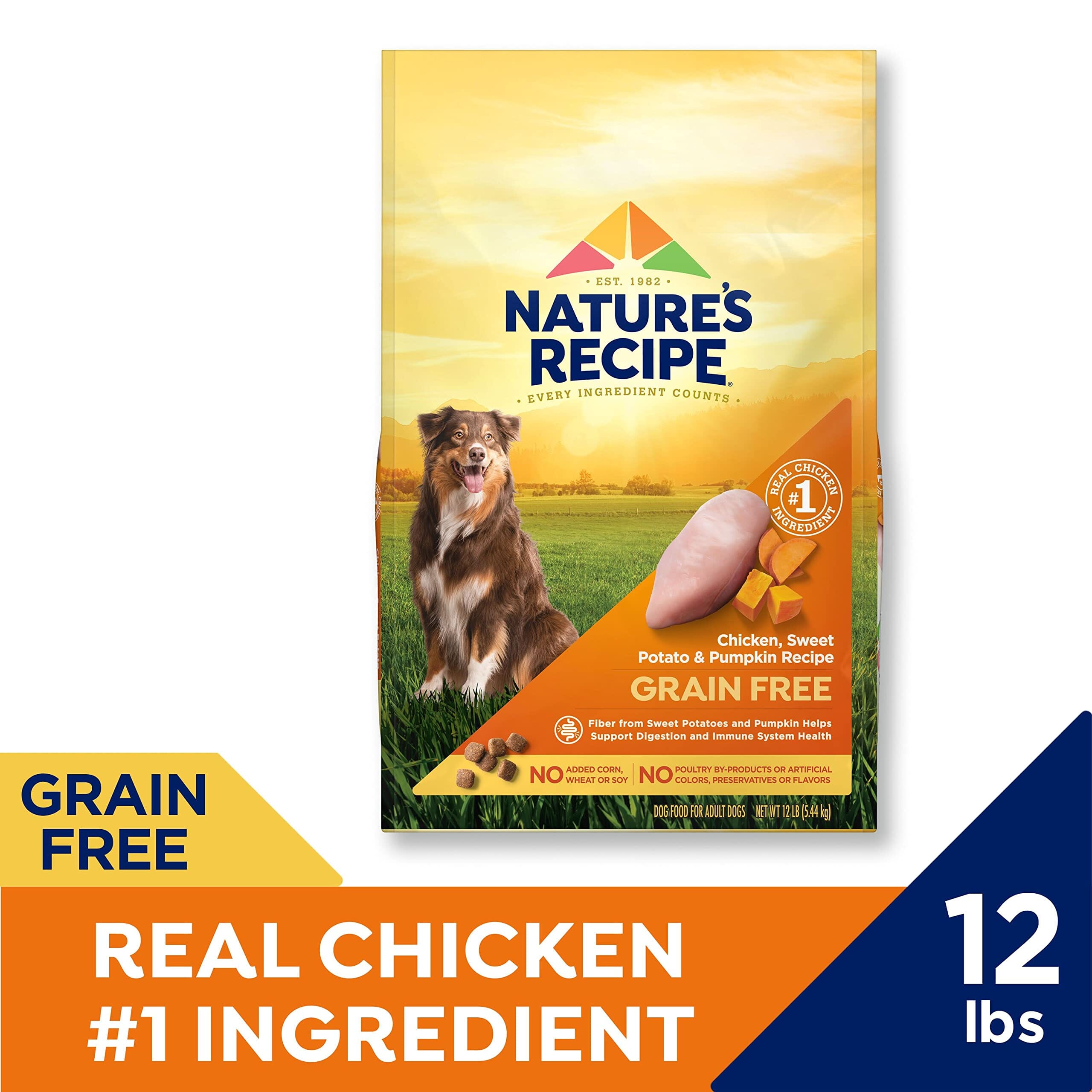 Nature's Recipe Grain-Free Chicken Sweet Potato and Pumpkin Recipe Dry Dog Food - 12 Lbs  